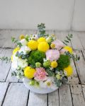 橙色系歡欣盆花 Bright floral